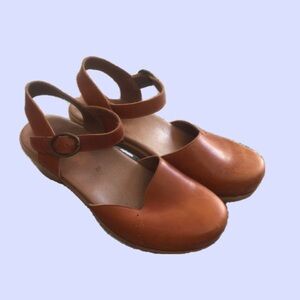Dansko Clogs